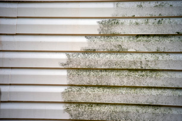 Best Furniture Removal  in Johnson City, TN